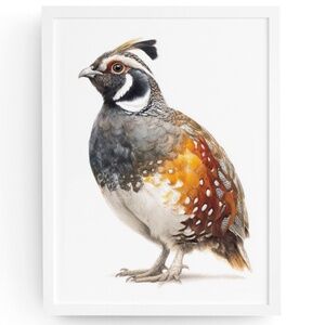 Watercolor Quail Wall Art Print, Unframed - Vibrant Nature-Inspired Home Decor